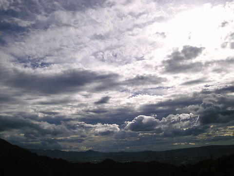 20100811-1.jpg