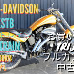 ☆★厳選中古車FXSTB ナイトトレイン 2001年式 走行13,000km 検切れ！超ぉ~早い者勝ち！★☆